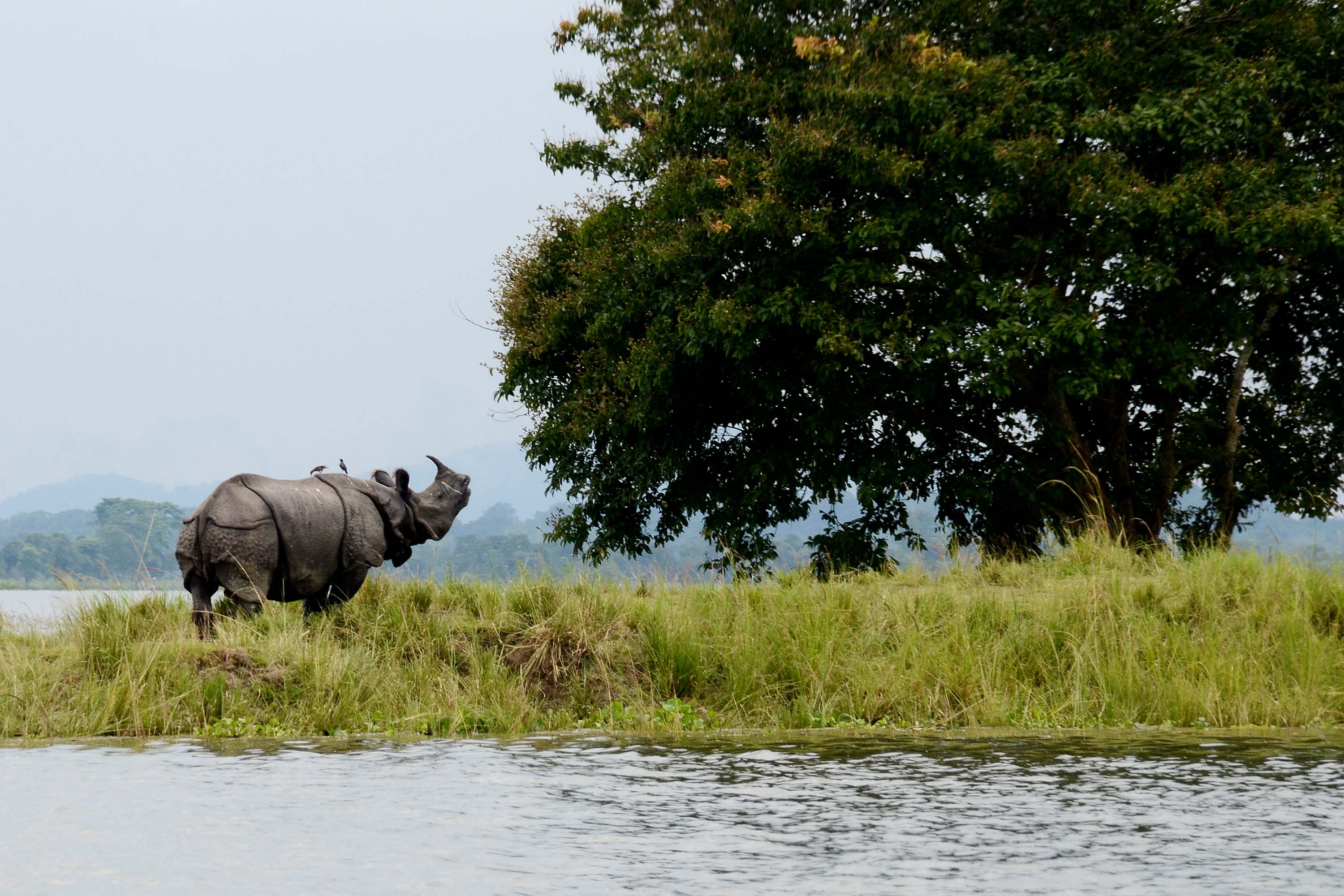  Arunachal Pradesh Tour Packages
